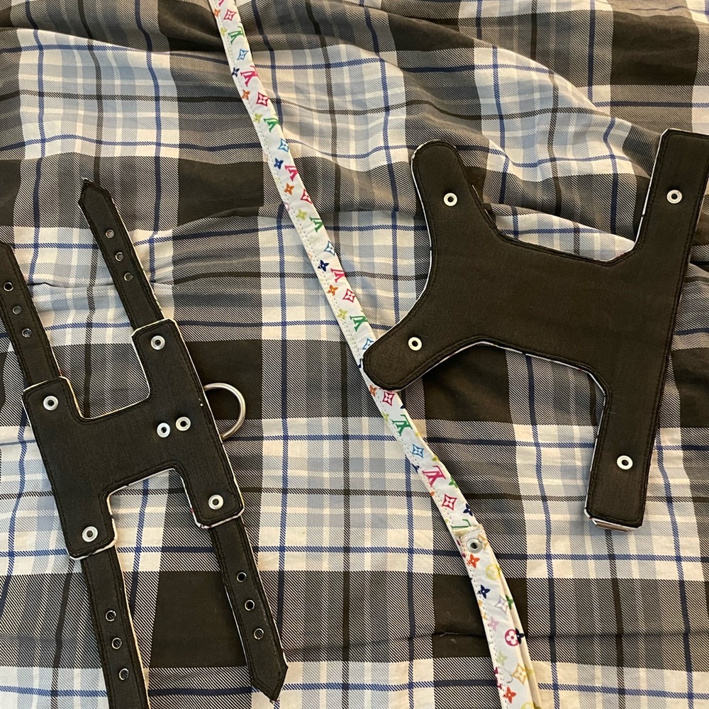 Harness and Leash Set - Picture 3 of 5
